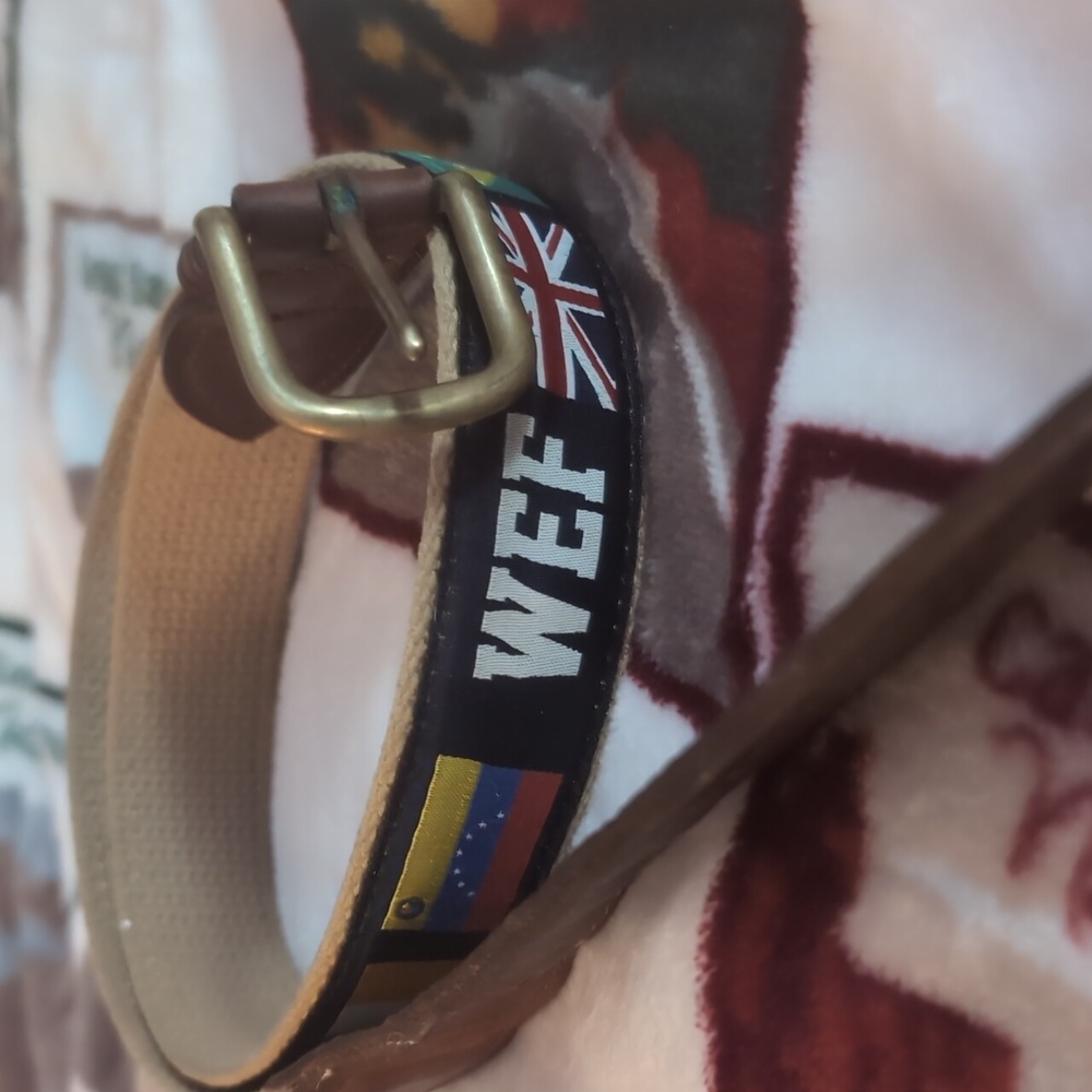 WEF Ribbon Belt